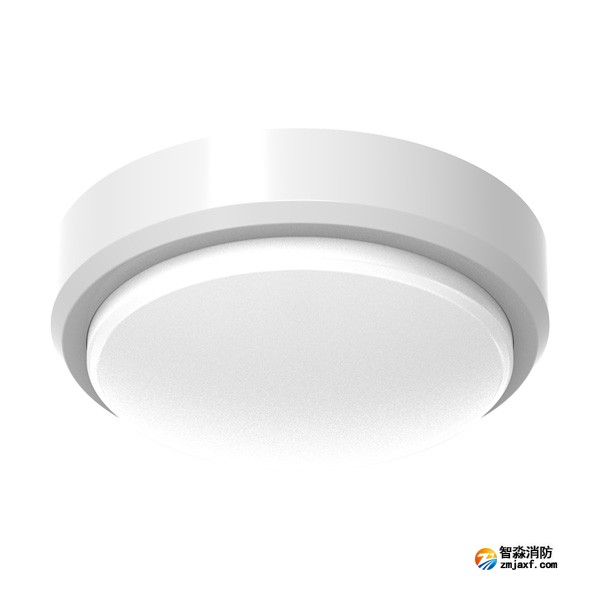 青鳥J-ZFJC-E3W-17X1LA集中電源集中控制型消防應(yīng)急照明燈具