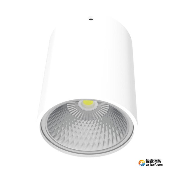 青鳥J-ZFJC-E30W-18Z3A集中電源集中控制型消防應急照明燈具