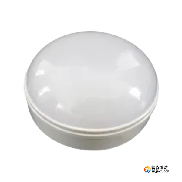 泰和安TS-ZLZC-E3W-6642自帶蓄電池集中控制型消防應(yīng)急照明燈具 吸頂式