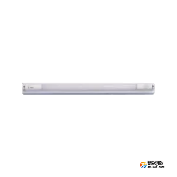 泰和安TS-ZFJC-E9W-6620A集中電源集中控制型消防應(yīng)急照明燈具 T8燈管
