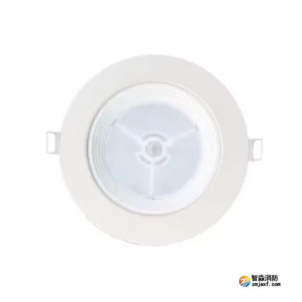 泰和安TS-ZFJC-E8W-6611B集中電源集中控制型消防應(yīng)急照明燈具 嵌頂式
