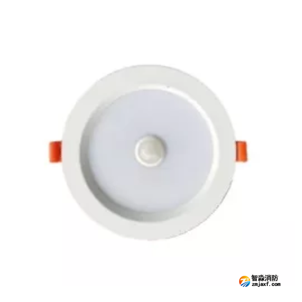 泰和安TS-ZFJC-E3W-6623/TS-ZFJC-E5W-6624集中電源集中控制型消防應(yīng)急照明燈具 嵌頂式