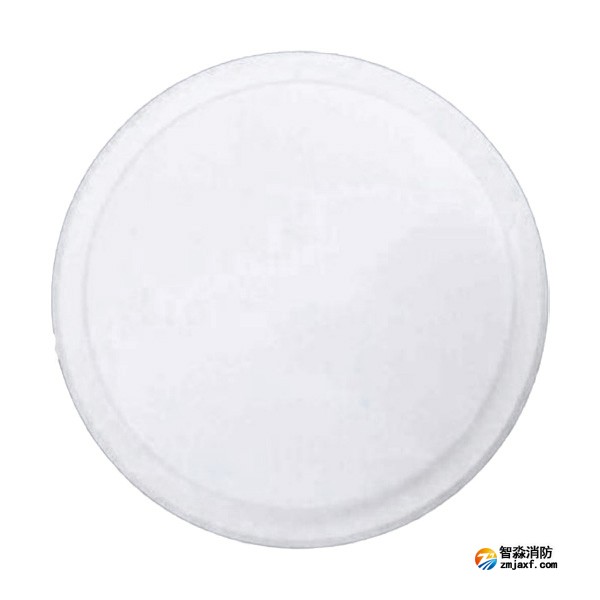 依愛EI-ZFJC-E5W-8645NXLD集中電源集中控制型消防應(yīng)急照明燈具 吸頂式