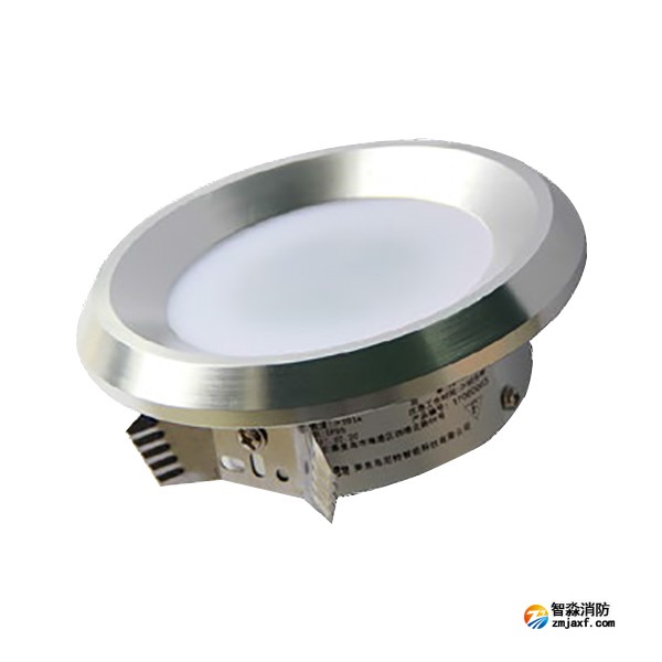 尼特NT-ZFJC-E3W-1302集中電源集中控制型消防應(yīng)急照明燈具
