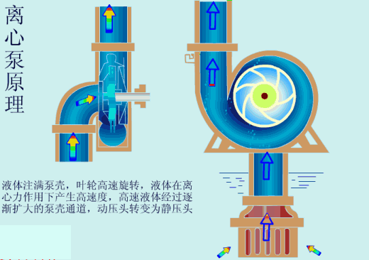 離心泵原理圖